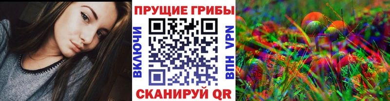 Псилоцибиновые грибы Cubensis  купить наркотики сайты  hydra ССЫЛКА  Отрадный 