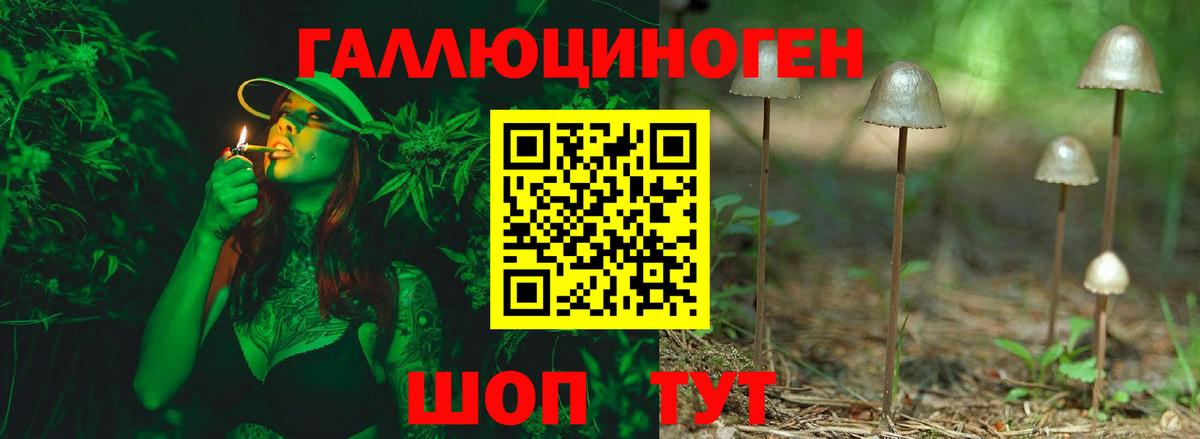 Галлюциногенные грибы Psilocybine cubensis  где купить   Отрадный  Вход с VPN 